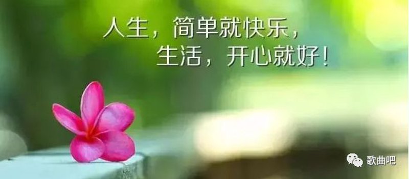 如何挑选到符合心意的天天开心图片